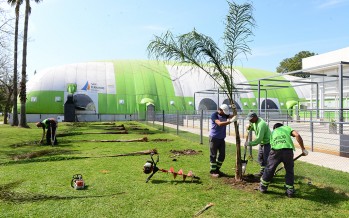 Trabajos de mejoras en los espacios verdes de los polideportivos