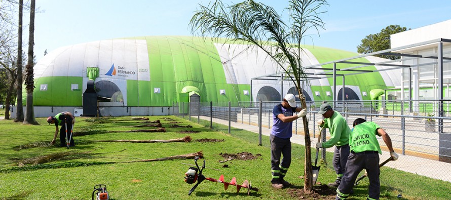 Trabajos de mejoras en los espacios verdes de los polideportivos