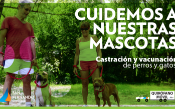 El Quirófano Móvil de Zoonosis estará esta semana en las plazas Carlos Gardel y San Pablo