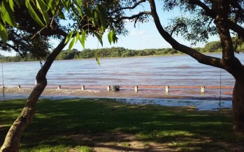 Aviso por crecida del Río de la Plata