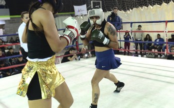 Noche de box en el Polideportivo N°1