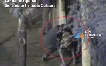 Detuvieron a tres ladrones que entraron a robar a una vivienda en Almirante Brown al 1500