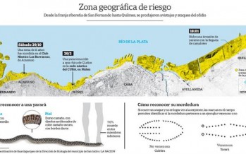 Alerta en la ribera: se multiplican los avistajes de yararás