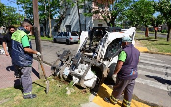 Operativo de limpieza y prevención del dengue en Virreyes