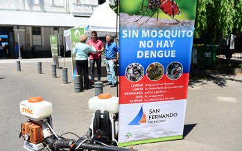 Operativos de prevención para combatir al dengue en los alrededores de la estación Victoria