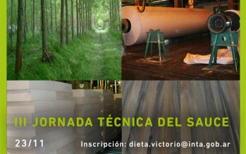 Jornada abierta sobre el sauce