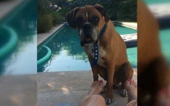 Lo encontraron perdido en el INEF y buscan a su familia