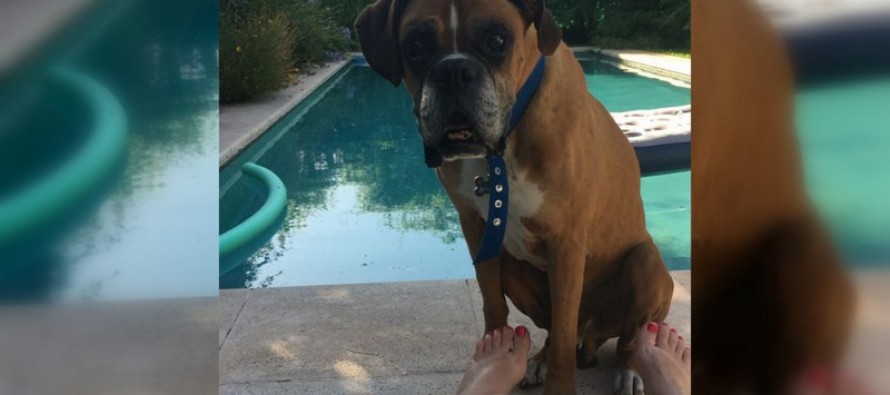 Lo encontraron perdido en el INEF y buscan a su familia