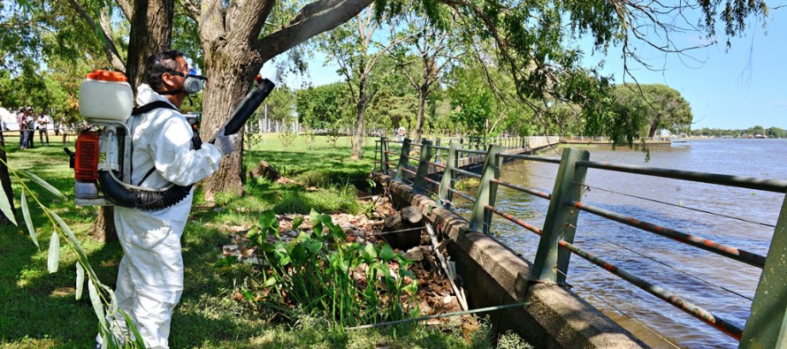Precauciones frente a los mosquitos y las “mariposas negras”