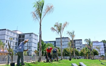 Trabajos de mejora en la plaza de Infico