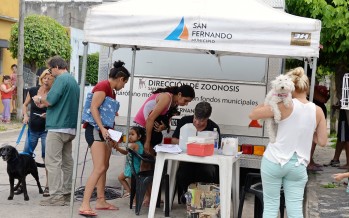 Operativo de esterilización y vacunación de animales en el barrio Crisol