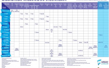Más vacunas obligatorias: nuevo calendario