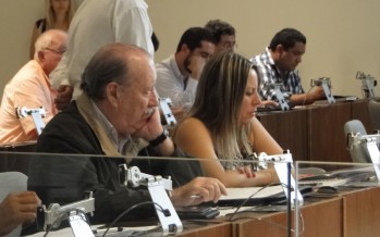 La concejal Josefina Passo cuestionó «la aprobación de expedientes sin información”