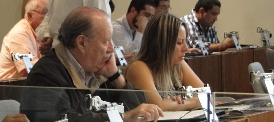 La concejal Josefina Passo cuestionó “la aprobación de expedientes sin información”