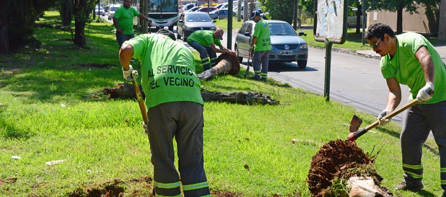 Trabajos previos al ensanche y renovación de la calle Uruguay