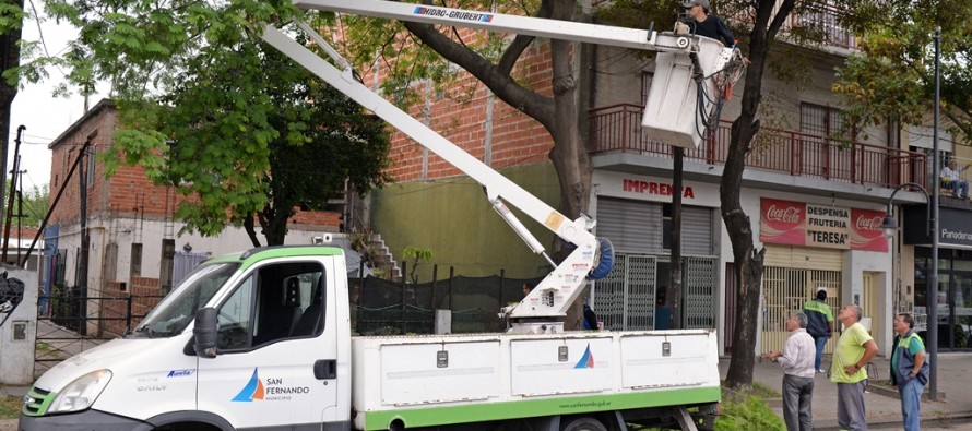 Trabajos de poda correctiva en Virreyes Oeste