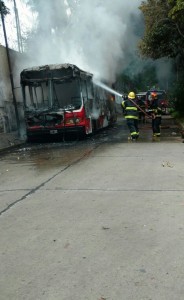 colectivo en mil viviendas