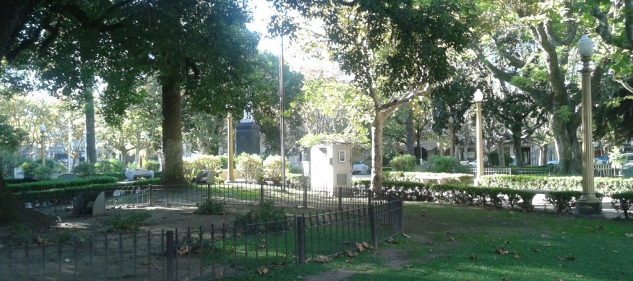 Cómo se vivió el el paro general en San Fernando