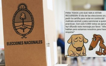 El falso mensaje en Whatsapp sobre el maltrato animal