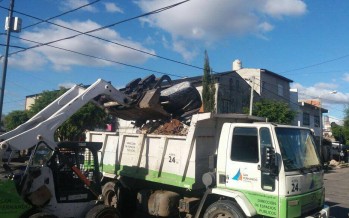 Operativos de remoción de montículos y ramas