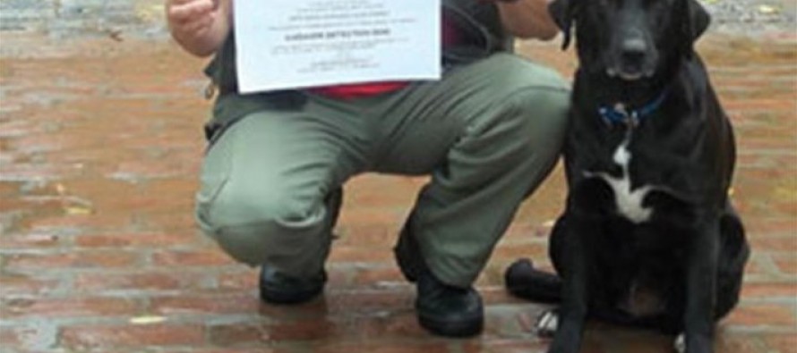 Camila, la perra que resolvió el misterio del avión desaparecido