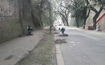 Tareas de limpieza urbana en Punta Chica