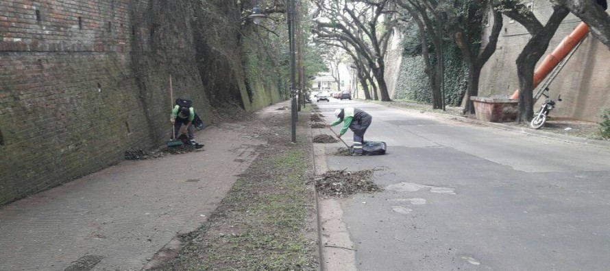 Tareas de limpieza urbana en Punta Chica