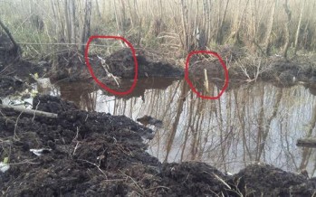 La hermana del piloto del avión caído en el Delta está convencida de que fue «un sabotaje»