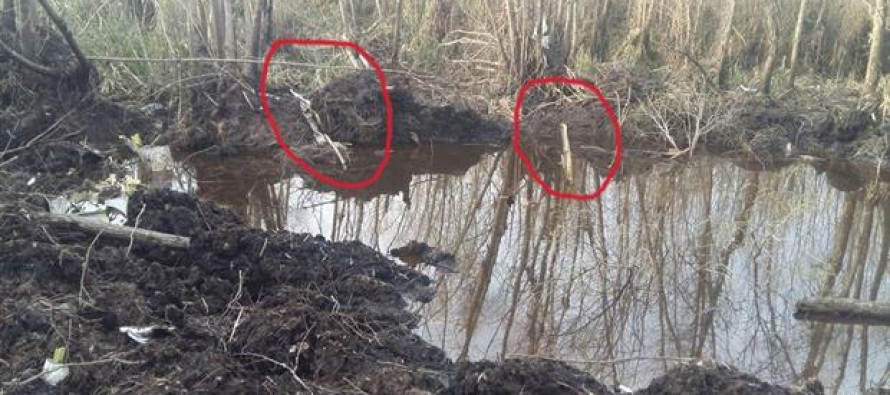 La hermana del piloto del avión caído en el Delta está convencida de que fue “un sabotaje”