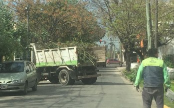 Operativos diarios de limpieza urbana