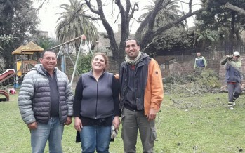 Periodismo ciudadano: mejoras en el Jardín 901