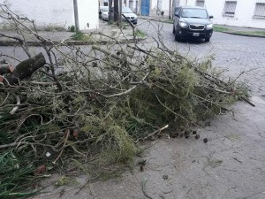 20170908_113558_resized_1