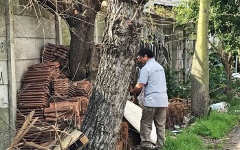 Controles de plagas en el Barrio Crisol