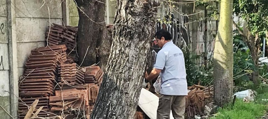 Controles de plagas en el Barrio Crisol