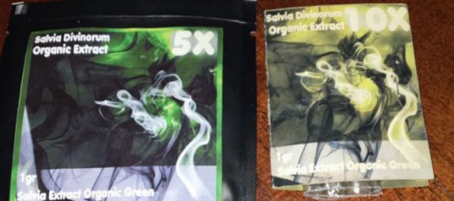 Detienen a un joven acusado de comercializar un inédito alucinógeno conocido como “la hierba de los dioses”