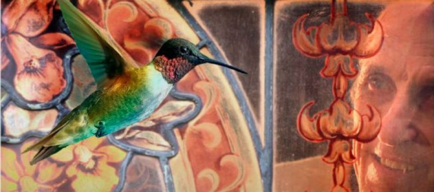 La mirada del colibrí, un documental sobre los humedales de la cuenca baja del río Luján