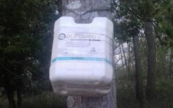 Vecinos de la tercera sección del Delta están preocupados por la presencia de glifosato