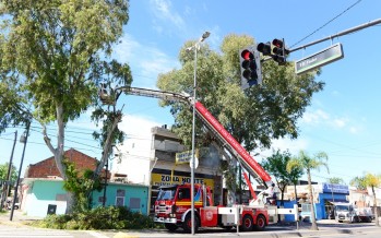 Trabajos de forestación y parquización en Virreyes