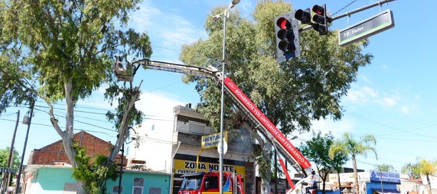 Trabajos de forestación y parquización en Virreyes