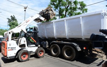 Comenzaron los operativos contra el dengue