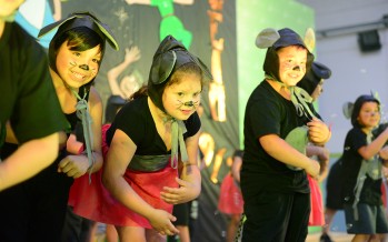 Los centros educativos de nuestra ciudad cerraron el año con una fiesta