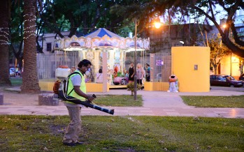 Fumigación preventiva de dengue en la plaza Dorrego