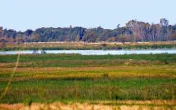 Crearán un Parque Nacional en la cuenca del Río Luján