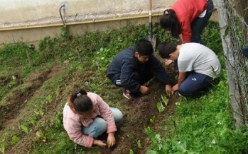 El INTA se manifestó frente al cierre de las escuelas del Delta y contó la experiencia en cada institución