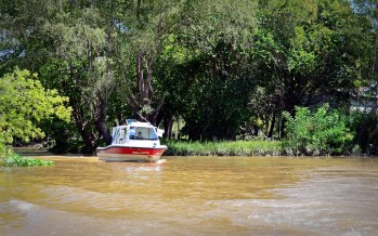 Advierten que el sistema de salud del Delta está en riesgo por falta de mantenimiento de ríos y arroyos
