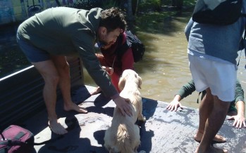Operativo de asistencia en los barrios Alsina, San José, Alvear y Villa Adalguiza ante la crecida del río