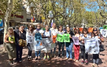 Jornada en Plaza Mitre por el Día Internacional de la Mujer