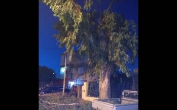 Un rayo rompió una rama y mató a una joven de 17 años en Avellaneda y José Ingenieros
