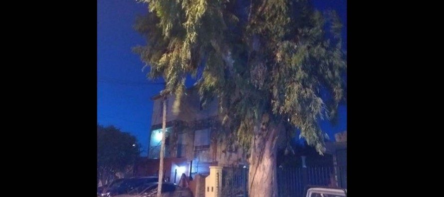 Un rayo rompió una rama y mató a una joven de 17 años en Avellaneda y José Ingenieros