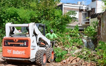 Desmalezamiento y desratización del predio abandonado en Perón entre Don Orione y Palacios